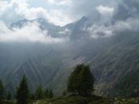 Youri - Ecrins 2005 393
